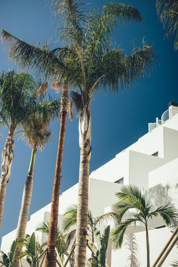 Cala Lanuza Suites El Campello Ngoại thất bức ảnh